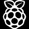 raspberry pi icon